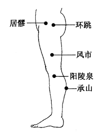 图2-19-2居髎、环跳、风市、阳陵泉、承山