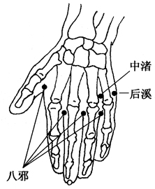 图3-9-2中渚、后溪、八邪