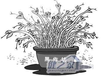 业内揭豆芽加工业内幕 用AB粉等多种有毒粉末