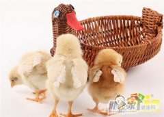 H7N9卷土重来 孕妈巧应对