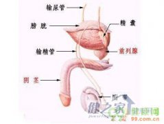 30岁男看看小弟弟衰老的标志