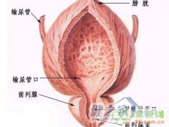 性爱太持久前列腺吃不消