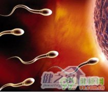 男人想要健康精子吃什么好