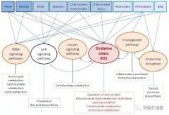 代谢组学是研究情况袒露的“有效东西”