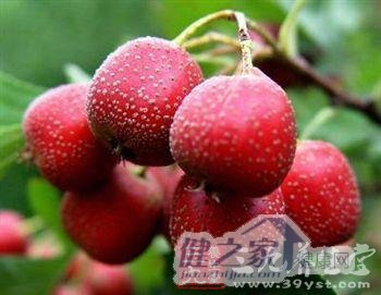 山楂的营养价值 增进食欲促消化(2)