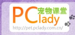 PClady宠物课堂：猫咪的营养饮食指南