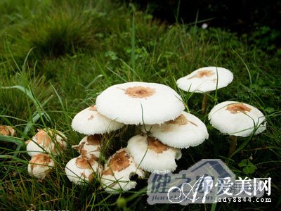  多吃10种食物提高免疫力 打造百毒难侵之身 