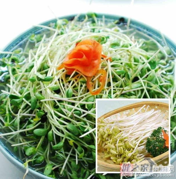 经常食用绿豆芽可清热解毒